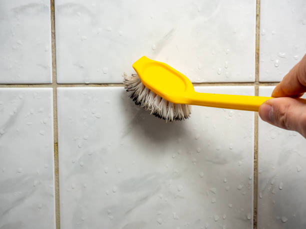 Best Insurance-Related Mold Remediation in Parkers Prairie, MN