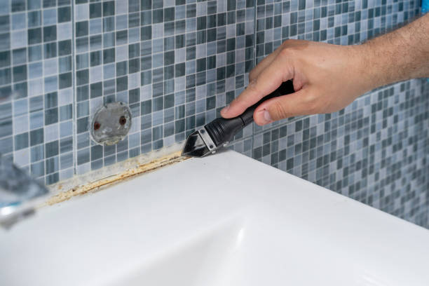 Best Commercial Mold Remediation in Parkers Prairie, MN