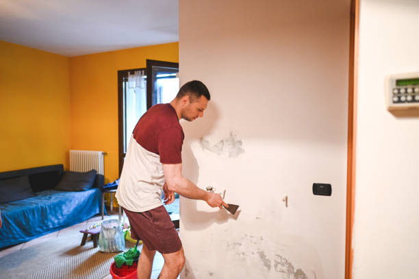 Best Residential Mold Remediation in Parkers Prairie, MN